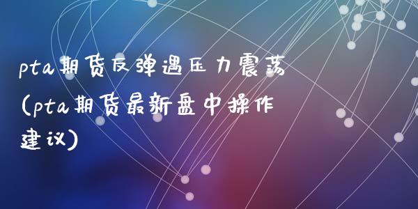 pta期货反弹遇压力震荡(pta期货最新盘中操作建议)_https://www.yunyouns.com_恒生指数_第1张