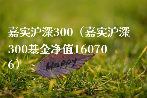 嘉实沪深300（嘉实沪深300基金净值160706）_https://www.yunyouns.com_恒生指数_第1张