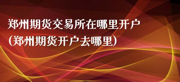 郑州期货交易所在哪里开户(郑州期货开户去哪里)_https://www.yunyouns.com_期货行情_第1张