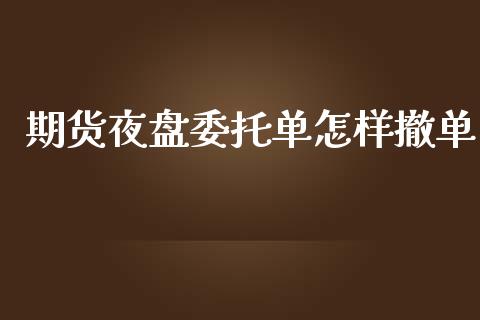 期货夜盘委托单怎样撤单_https://www.yunyouns.com_股指期货_第1张