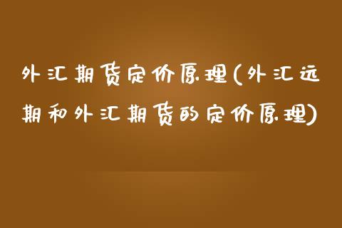 外汇期货定价原理(外汇远期和外汇期货的定价原理)_https://www.yunyouns.com_股指期货_第1张