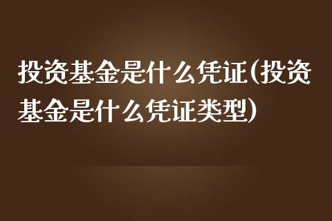 投资基金是什么凭证(投资基金是什么凭证类型)_https://www.yunyouns.com_股指期货_第1张