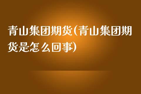 青山集团期货(青山集团期货是怎么回事)_https://www.yunyouns.com_期货行情_第1张