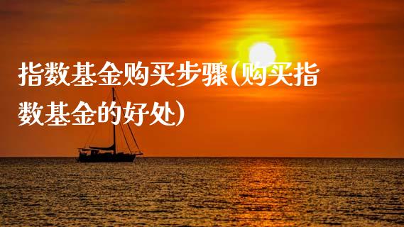 指数基金购买步骤(购买指数基金的好处)_https://www.yunyouns.com_期货直播_第1张