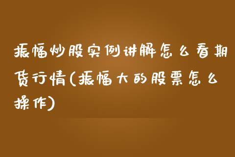 振幅炒股实例讲解怎么看期货行情(振幅大的股票怎么操作)_https://www.yunyouns.com_恒生指数_第1张