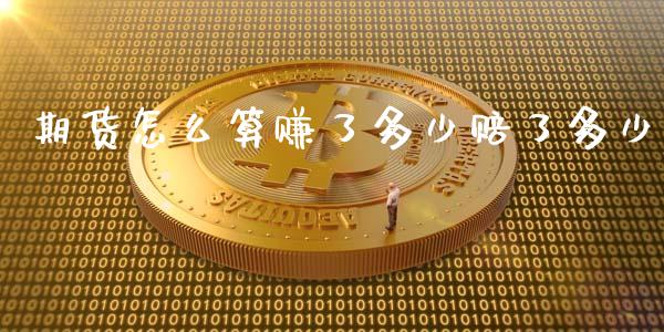 期货怎么算赚了多少赔了多少_https://www.yunyouns.com_股指期货_第1张