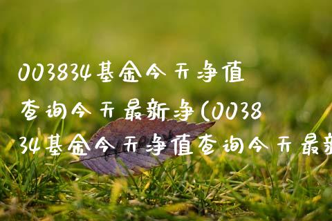 003834基金今天净值查询今天最新净(003834基金今天净值查询今天最新净值)_https://www.yunyouns.com_恒生指数_第1张