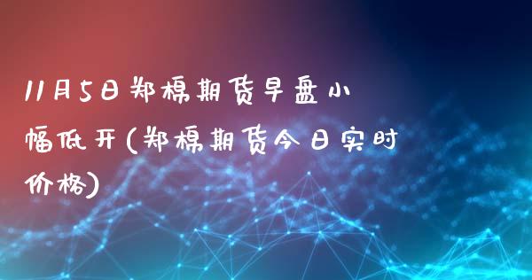 11月5日郑棉期货早盘小幅低开(郑棉期货今日实时价格)_https://www.yunyouns.com_期货行情_第1张