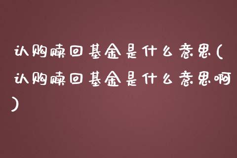 认购赎回基金是什么意思(认购赎回基金是什么意思啊)_https://www.yunyouns.com_恒生指数_第1张