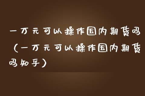 一万元可以操作国内期货吗（一万元可以操作国内期货吗知乎）_https://www.yunyouns.com_股指期货_第1张