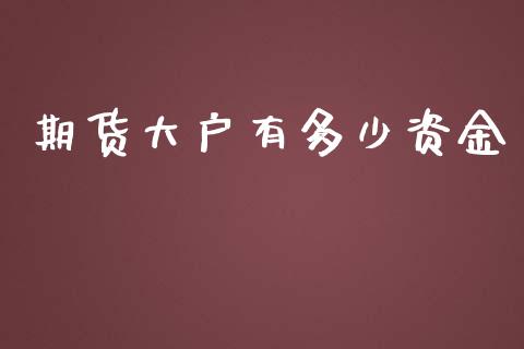 期货大户有多少资金_https://www.yunyouns.com_期货行情_第1张