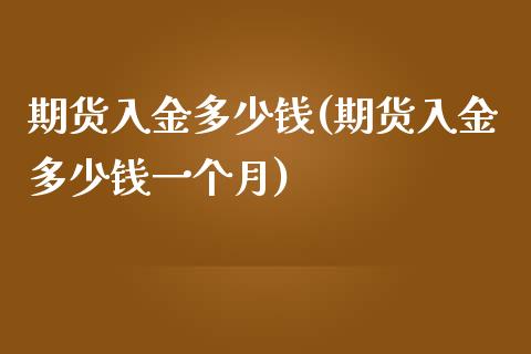 期货入金多少钱(期货入金多少钱一个月)_https://www.yunyouns.com_股指期货_第1张