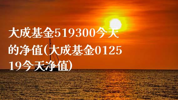 大成基金519300今天的净值(大成基金012519今天净值)_https://www.yunyouns.com_期货行情_第1张