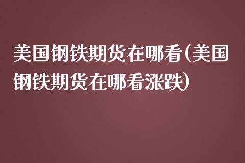 美国钢铁期货在哪看(美国钢铁期货在哪看涨跌)_https://www.yunyouns.com_期货直播_第1张