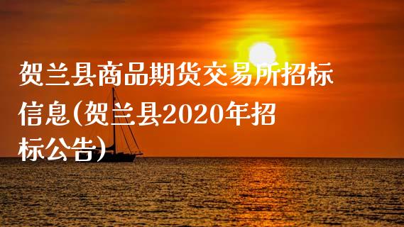 贺兰县商品期货交易所招标信息(贺兰县2020年招标公告)_https://www.yunyouns.com_股指期货_第1张