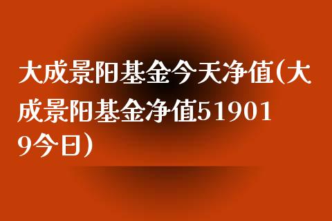 大成景阳基金今天净值(大成景阳基金净值519019今日)_https://www.yunyouns.com_恒生指数_第1张