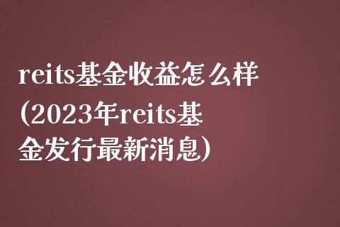 reits基金收益怎么样(2023年reits基金发行最新消息)_https://www.yunyouns.com_股指期货_第1张