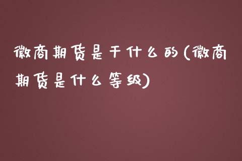 徽商期货是干什么的(徽商期货是什么等级)_https://www.yunyouns.com_恒生指数_第1张