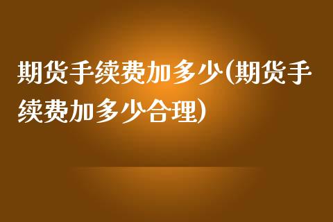 期货手续费加多少(期货手续费加多少合理)_https://www.yunyouns.com_股指期货_第1张