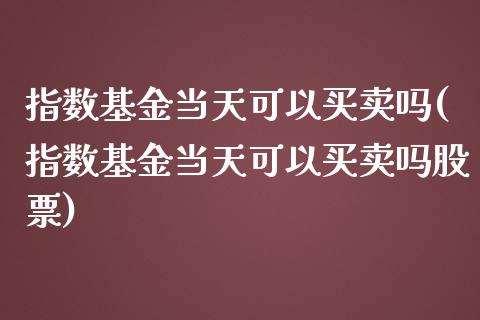 指数基金当天可以买卖吗(指数基金当天可以买卖吗股票)_https://www.yunyouns.com_期货行情_第1张