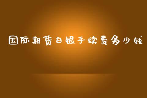 国际期货白银手续费多少钱_https://www.yunyouns.com_期货直播_第1张