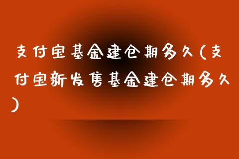 支付宝基金建仓期多久(支付宝新发售基金建仓期多久)_https://www.yunyouns.com_股指期货_第1张