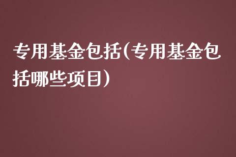 专用基金包括(专用基金包括哪些项目)_https://www.yunyouns.com_恒生指数_第1张