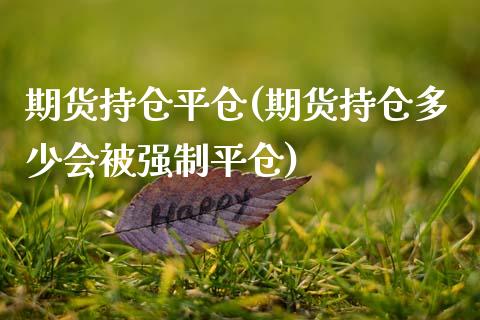 期货持仓平仓(期货持仓多少会被强制平仓)_https://www.yunyouns.com_期货行情_第1张