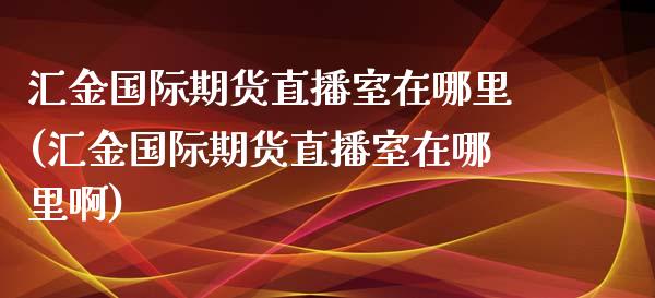 汇金国际期货直播室在哪里(汇金国际期货直播室在哪里啊)_https://www.yunyouns.com_期货直播_第1张