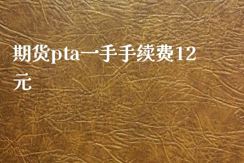 期货pta一手手续费12元_https://www.yunyouns.com_恒生指数_第1张