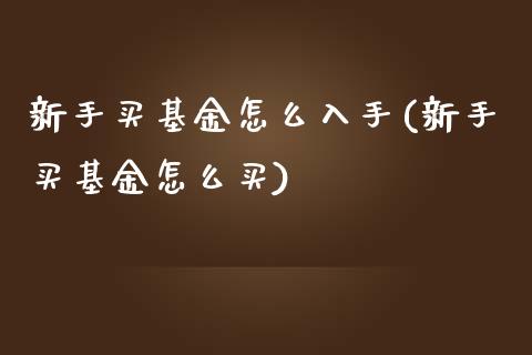 新手买基金怎么入手(新手买基金怎么买)_https://www.yunyouns.com_期货行情_第1张