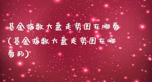 基金指数大盘走势图在哪看(基金指数大盘走势图在哪看的)_https://www.yunyouns.com_期货直播_第1张