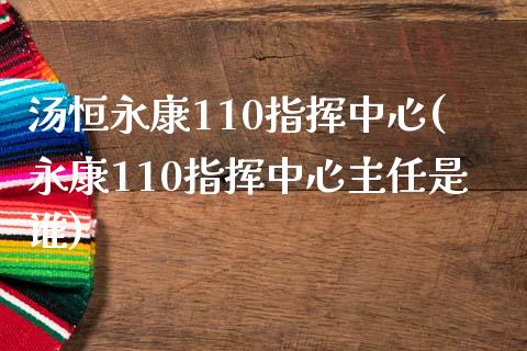 汤恒110指挥中心(110指挥中心主任是谁)_https://www.yunyouns.com_恒生指数_第1张