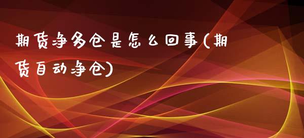 期货净多仓是怎么回事(期货自动净仓)_https://www.yunyouns.com_股指期货_第1张