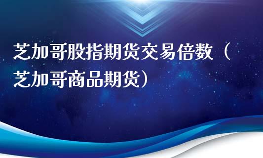 芝加哥股指期货交易倍数（芝加哥商品期货）_https://www.yunyouns.com_期货直播_第1张