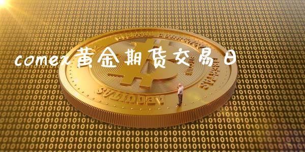 comex黄金期货交易日_https://www.yunyouns.com_期货直播_第1张