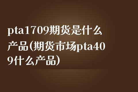 pta1709期货是什么产品(期货市场pta409什么产品)_https://www.yunyouns.com_期货行情_第1张