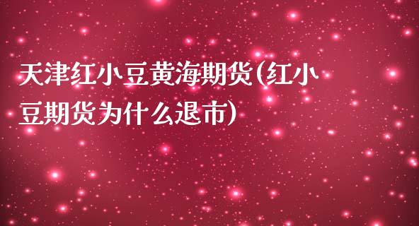 天津红小豆黄海期货(红小豆期货为什么退市)_https://www.yunyouns.com_期货行情_第1张