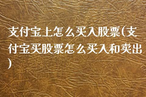 支付宝上怎么买入股票(支付宝买股票怎么买入和卖出)_https://www.yunyouns.com_期货行情_第1张