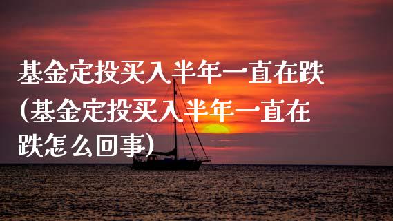 基金定投买入半年一直在跌(基金定投买入半年一直在跌怎么回事)_https://www.yunyouns.com_恒生指数_第1张