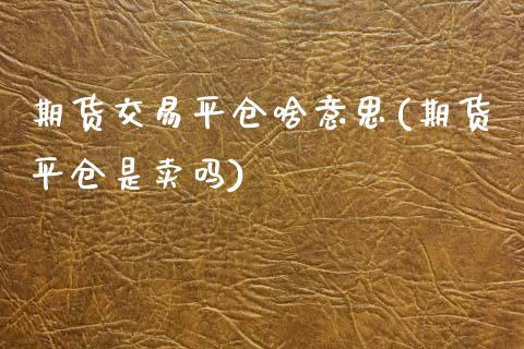 期货交易平仓啥意思(期货平仓是卖吗)_https://www.yunyouns.com_恒生指数_第1张