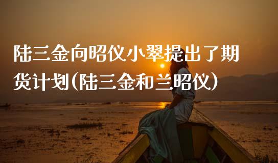 陆三金向昭仪小翠提出了期货计划(陆三金和兰昭仪)_https://www.yunyouns.com_期货行情_第1张