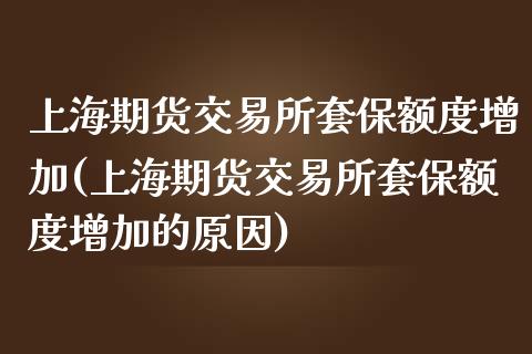 上海期货交易所套保额度增加(上海期货交易所套保额度增加的原因)_https://www.yunyouns.com_恒生指数_第1张