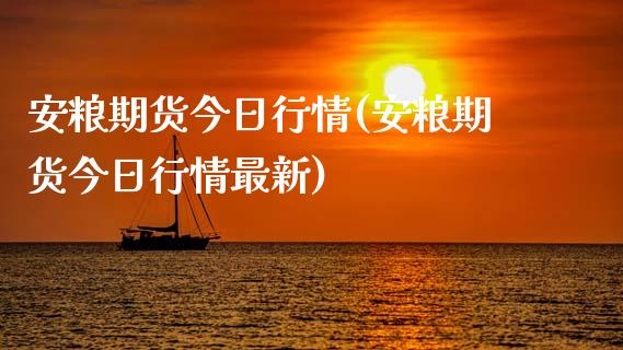 安粮期货今日行情(安粮期货今日行情最新)_https://www.yunyouns.com_期货直播_第1张