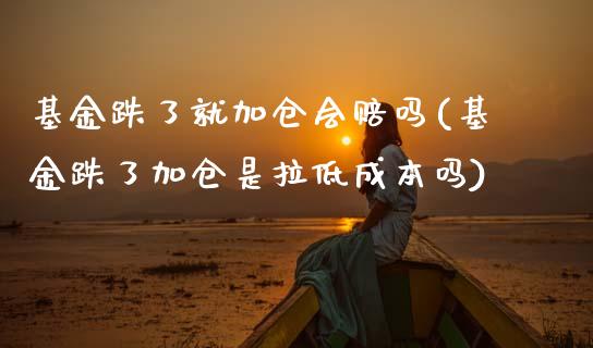 基金跌了就加仓会赔吗(基金跌了加仓是拉低成本吗)_https://www.yunyouns.com_恒生指数_第1张