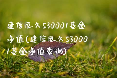 建信恒久530001基金净值(建信恒久530001基金净值查询)_https://www.yunyouns.com_期货行情_第1张