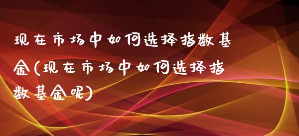 现在市场中如何选择指数基金(现在市场中如何选择指数基金呢)_https://www.yunyouns.com_期货直播_第1张