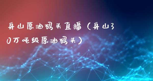 舟山原油码头直播（舟山30万吨级原油码头）_https://www.yunyouns.com_期货行情_第1张