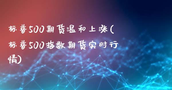 标普500期货温和上涨(标普500指数期货实时行情)_https://www.yunyouns.com_期货直播_第1张