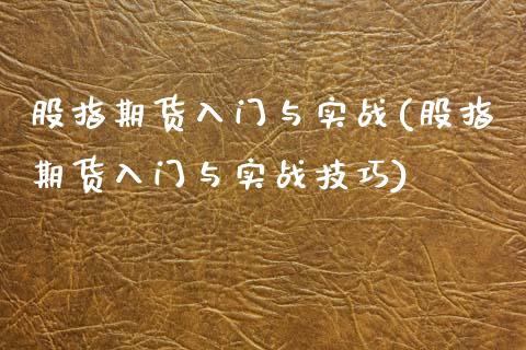 股指期货入门与实战(股指期货入门与实战技巧)_https://www.yunyouns.com_期货行情_第1张